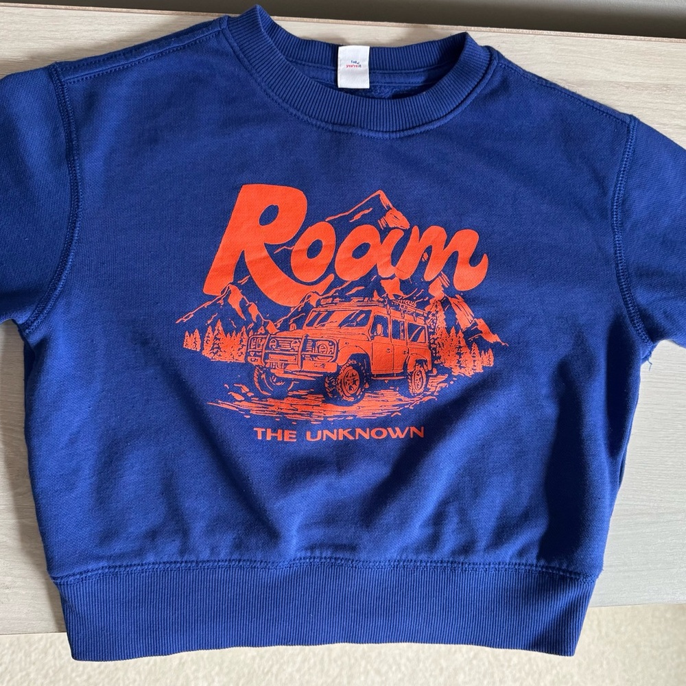 Toddler boys sweatshirt